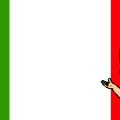 'REMIX YOUR FLAG'