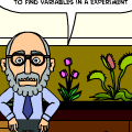 the science experiment
