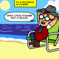 summer misshap
