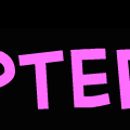 Chapter 11 intro