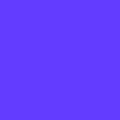 Supposedly The France Flag