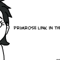 Prim Pony
