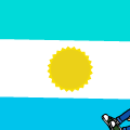 'REMIX YOUR FLAG'