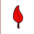 Flags