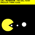 CELLS :)
