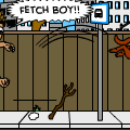 Fetch