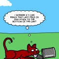 'Curiosity killed the cat'
