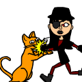 stupid cat