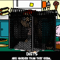 TotD: Fence