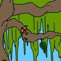 TotD: Metamorphosis