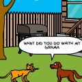 cat vs dog