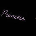 The Princess