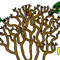 Friend Tree