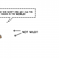 TotD: Wild
