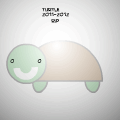 rip turtle