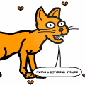 Sarah The Cat