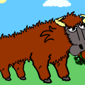 American Bison Art