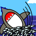 Ahhhhh!!! Shark!