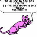 HAPPY BURFDAY !!!!!!!!!!!!!!!!