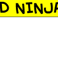 THE NINJAS