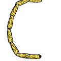 TotD: Corn 2