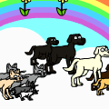 adopt a pet'