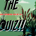 'Top Quiz!'