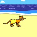 CATS FASHION!