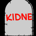 Kidne