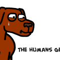 So do dogs