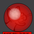 2013: a space cat