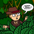 Safari 4