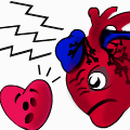 TotD: HEART