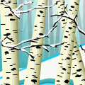 TotD: Birch Forest