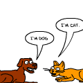 Dog + Cat