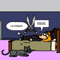 SPAZZACAT!!!
