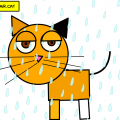 mr.cat