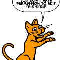 Permission Cat