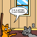 Cat Talk
