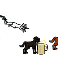 PETZ 5