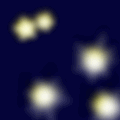 fire flies