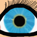Eye