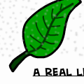 A Leaf