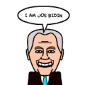 obama and biden vs mccain 1