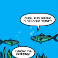 Cold Water