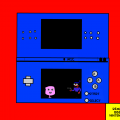 Nintendo DS