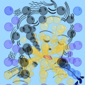 'Contest Art - Dali'