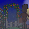 Theme.. a Perfect Dream Night