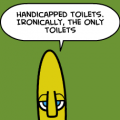 Handicapped Toilets