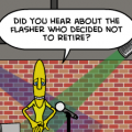 The Flasher
